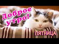 ПЯТНИЦА 🌞 ДОБРОГО УТРА / ДОБРОЕ УТРО / С ДОБРЫМ УТРОМ / ДОБРОГО УТРА ЛЮБИМОЙ / ДОБРОЕ УТРО КАРТИНКИ