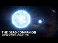 The Terrifying Truth of the Brightest Star in the Night Sky | Facty Science