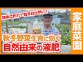 秋冬野菜の追肥に効く！自然由来液肥でキャベツ・白菜・ブロッコリーを大きく栽培！家庭菜園でも簡単に作れる液肥の作り方を解説！【農家直伝】