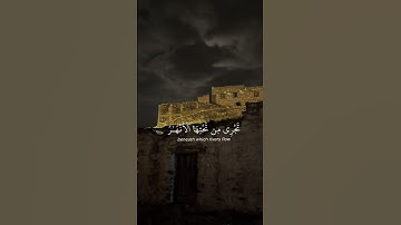 قال الله هذا يوم ينفع الصادقين صدقهم  | القارئ ياسر الدوسري