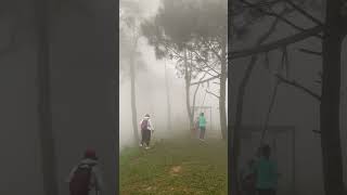 Spot Trekking Viral di Sentul