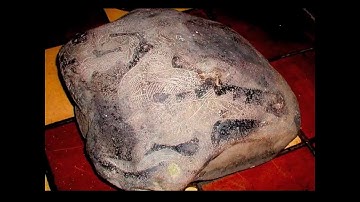 The Record of the Rocks - Don Patton