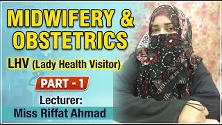 abdominal examination