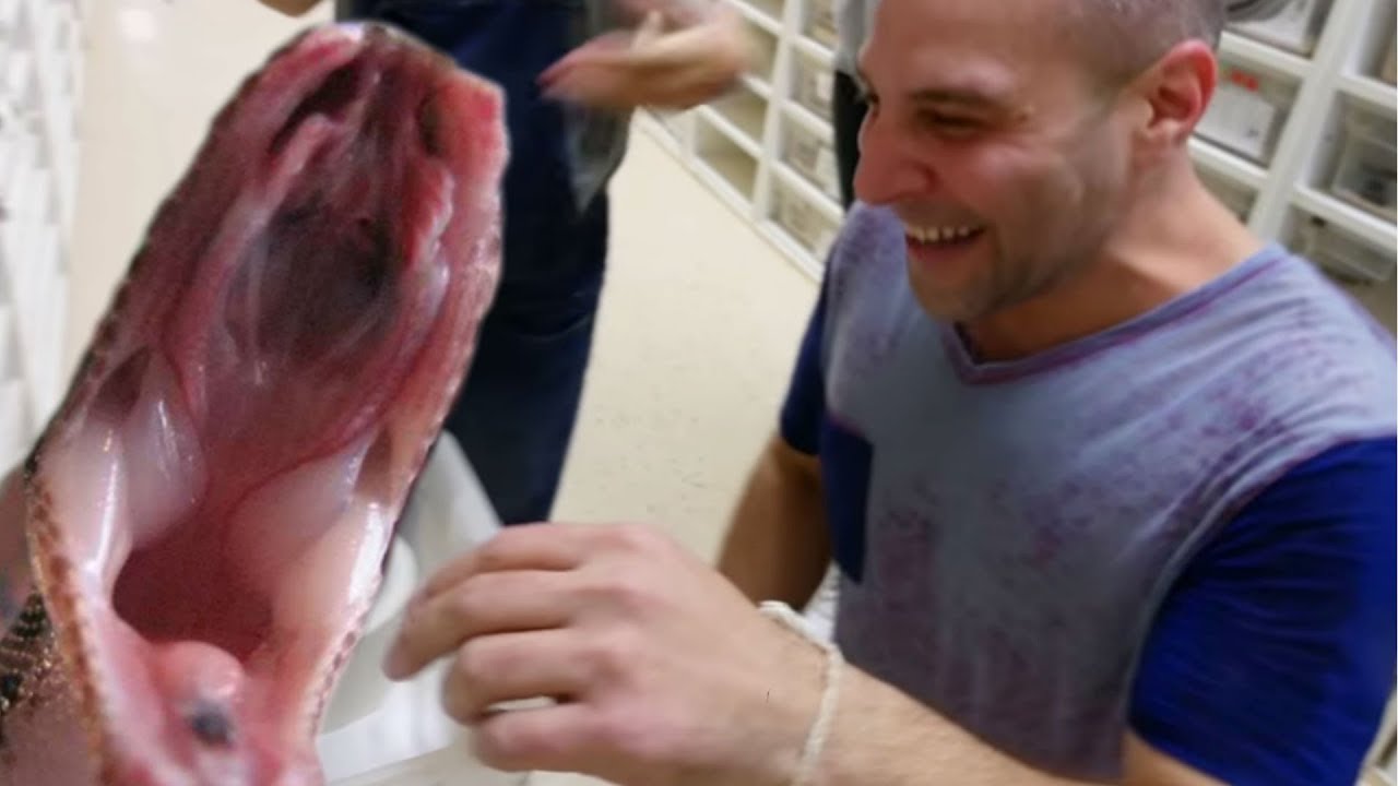 vlogs in spanish FIRST SNAKE BITE AT THE REPTILE ZOO!! (Reptarium) | BRIAN BARCZYK