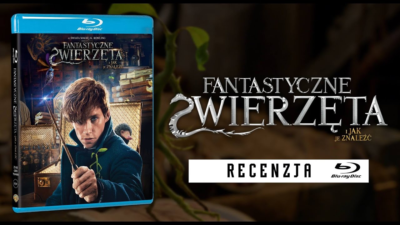 animacje urodzinowe Fantastyczne Zwierzęta i jak je znaleźć [RECENZJA BLU-Ray]