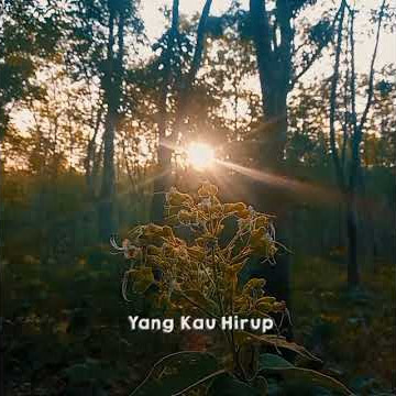 Story WA di kebun belakang rumah😊