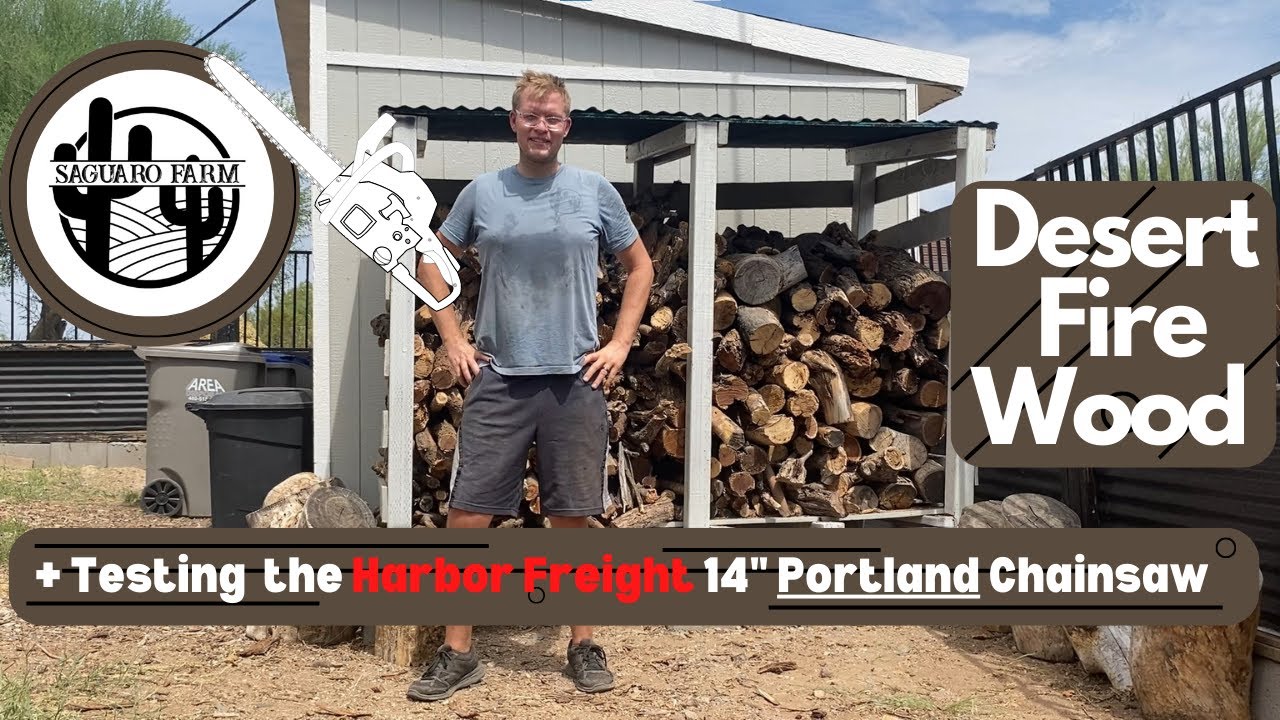 Processing Desert Firewood Restocking Wood for Winter Harbor Freight 14" Portland Chainsaw
