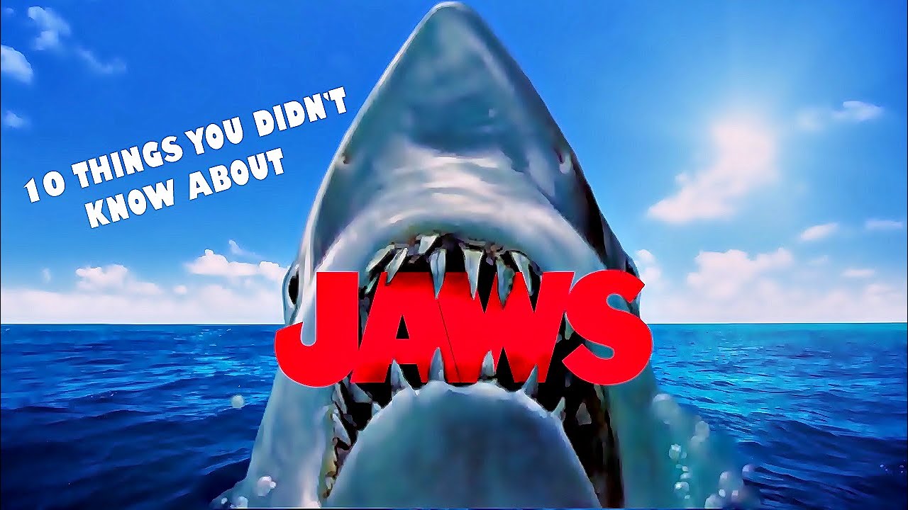 Jaws' Trivia: 20 Facts You Might Not Know About the Movie