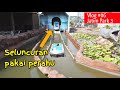 Dino Action Jatim Park 3, Keseruan naik perahu seluncuran