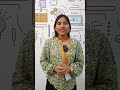 Unlocking PMP Certification: Explained Essential Requirements