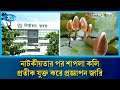 নির্বাচন কমিশনের সংরক্ষিত প্রতীকের তালিকায় যুক্ত হলো 'শাপলা কলি' | NCP | Election | Rtv News