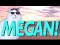 Happy birt.ay megan  epic cat happy birt.ay song