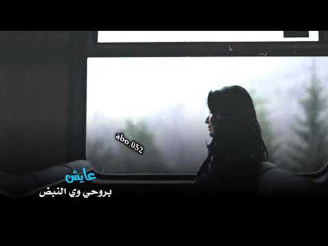ناصر عبداني شتريد ياليل البعد حالات واتساب ستوري 