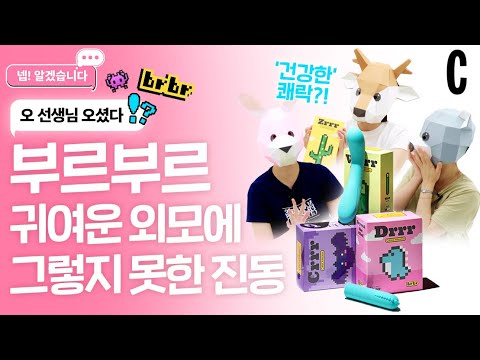 [ENG] 19금? 아니 29금🔥어른이의 필수템, 반려 토이의 모든 것을 알려드림ㅣ넵! 알겠습니다