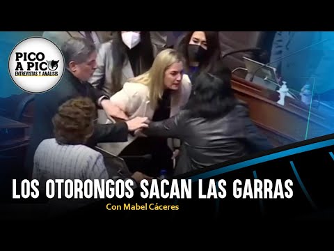 Los otorongos sacan las garras | Pico a Pico con Mabel Cáceres