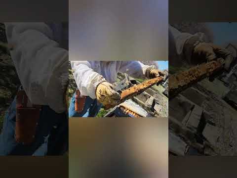 делайте заказы на преобретение пакетов