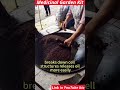 Medicinal Garden Secrets Most Beginners Don’t Know Start Today #garden #gardening #herbalmedicine