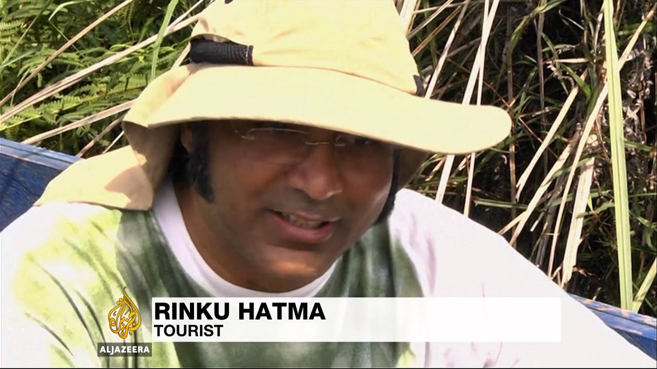 Approximately 11% of all birds call Uganda their home