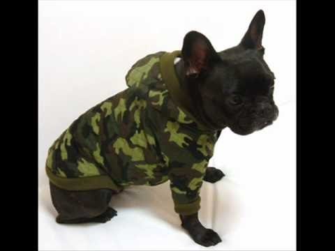 como hacer ropa para perros - YouTube