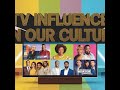 The TV Influence on Black Culture