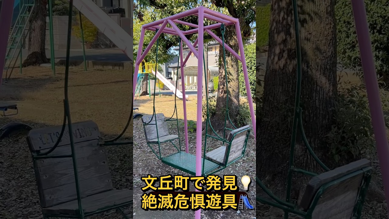 浜松市の公園で発見💡ゆりかごブランコ#箱型ブランコ#絶滅危惧遊具