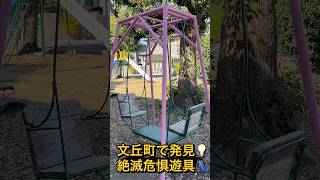 浜松市の公園で発見💡ゆりかごブランコ#箱型ブランコ#絶滅危惧遊具