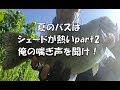 川バスヒット 五三川 中江川 大江川のシェードで炸裂！