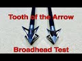 TOOTH of the ARROW Broadhead Battle: Original vs XL