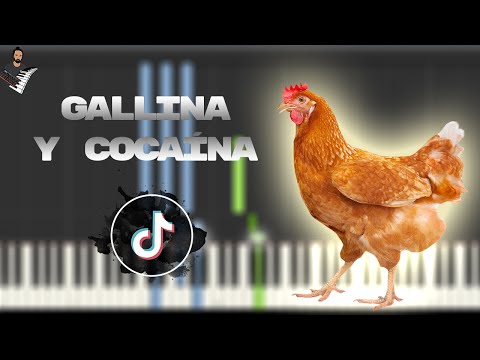 Gallina y Cocaína - parkineos
