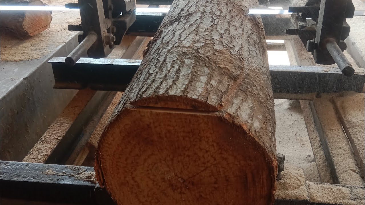 plz subscribe to my channel saw mill wb 9907085807 - YouTube