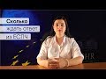 Сколько ждать ответ из Европейского суда (ЕСПЧ) l Answer of ECHR l Réponse de la ECHR