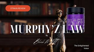 Murphy’z Law Cannabis Strain Review: BL^CK MRKT’s Exclusive Maryland Blend | The Enlightened Voice