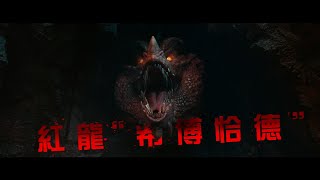 【龍與地下城：盜賊榮耀】戰鬥篇 - 3月29日 連假首選 戲院見 IMAX同步上映