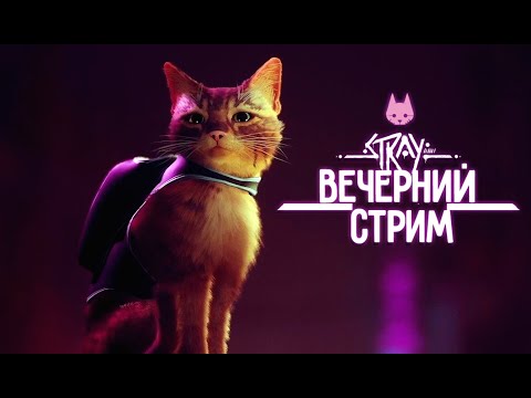 Проходим Stray | Игра, в которой я играю за котика - Проходим Stray | Игра, в которой я играю за котика