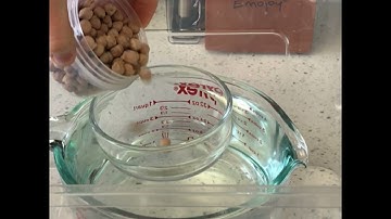 The buoyant force is equal to the weight of displaced water