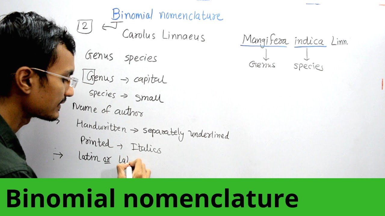 Binomial nomenclature