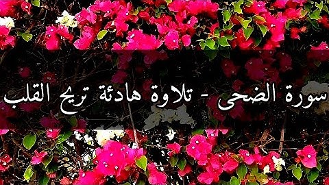 سورة الضحى - تلاوة هادئة تريح القلب