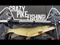 Crazy pike fishing session