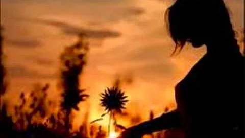 Joe Nichols -Who are you when I'm not looking-Not ...