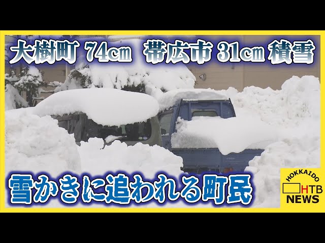 北海道大樹町74cm、帯広市31cmの積雪 十勝管内の小中学校8校が臨時休校