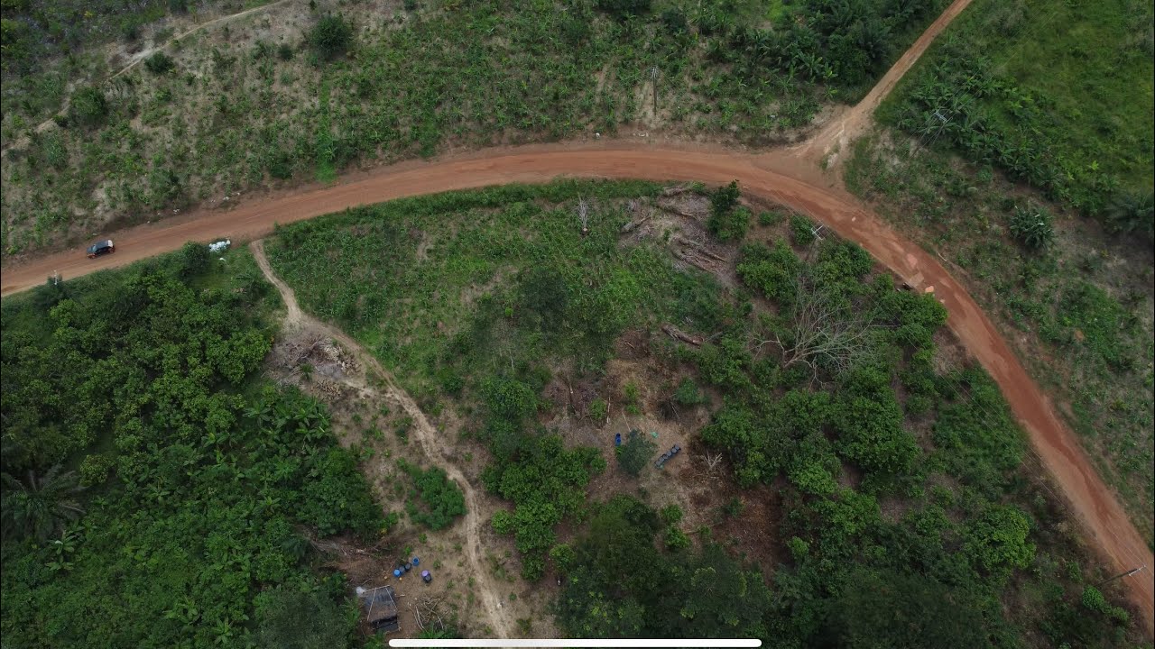 Кадры с дрона с фермы площадью 50 акров