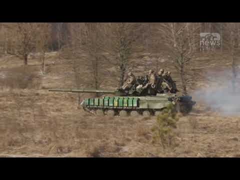 Video: SEALION (Futja, vëzhgimi dhe neutralizimi i vulave)