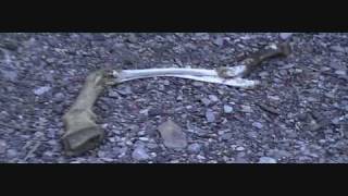 Bighorn Gorge Bighorn Movie