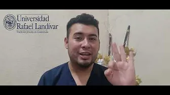 Educación Sexual