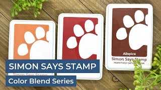 Simon Says Stamp Pawsitively Saturated Ink Color Blend Series by Jessica Vasher Designs 278 views 1 month ago 8 minutes, 2 seconds