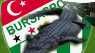 Şampiyon Bursaspor