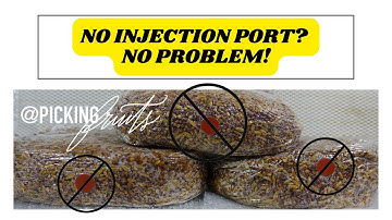 How to Grow Mushrooms: Inoculating without an Injection Port