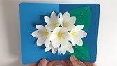 ポップアップカード コスモスの花束 Pop Up Card Cosmos Bouquet Youtube ポップアップカード コスモスの花束 Pop Up Card Cosmos Bouquet Youtube