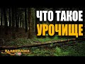 ЧТО ТАКОЕ УРОЧИЩЕ Где искать клады Места для поиска кладов с металлоискателем