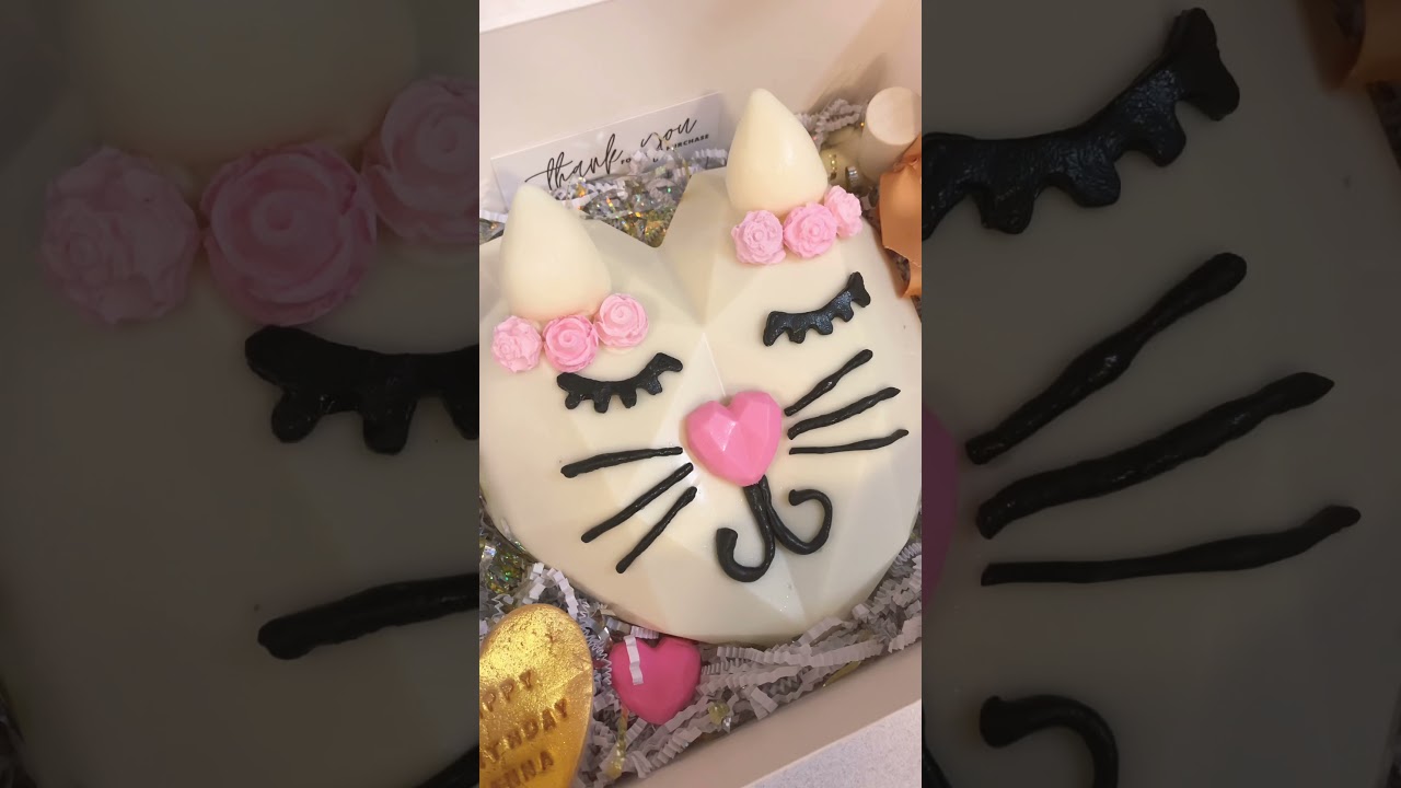 Cat chocolate breakable smash cake